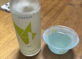 alt 1