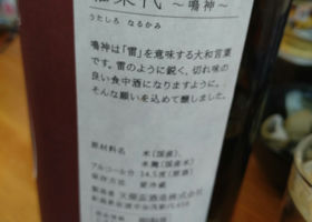 alt 1