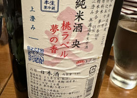 alt 3