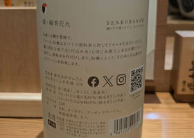alt 3