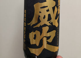 alt 1