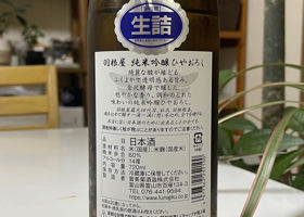 alt 2