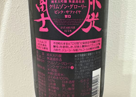 alt 3