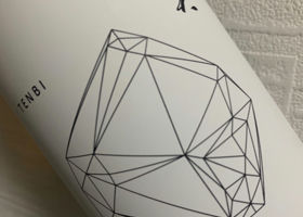 alt 1