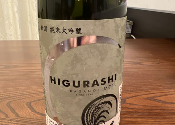 HIGURASHI Check-in 1