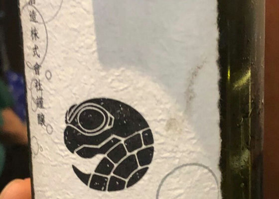 涅槃龜
