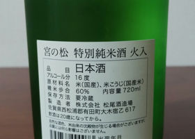 alt 3