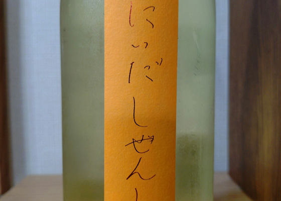 alt 1