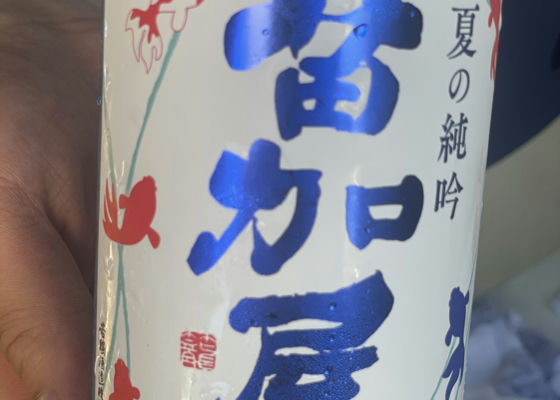 alt 1