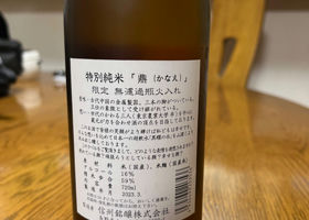 alt 3
