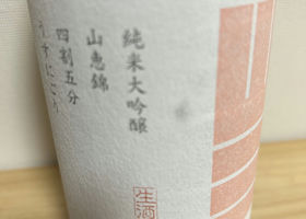 alt 3