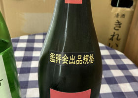 alt 1