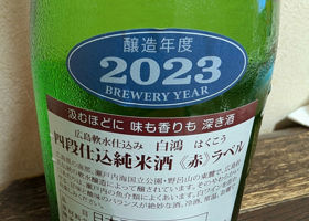 alt 3