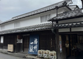 alt 3