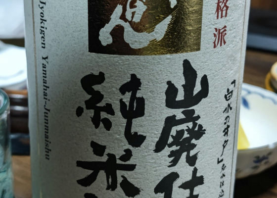 alt 1
