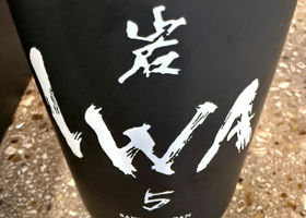 alt 1