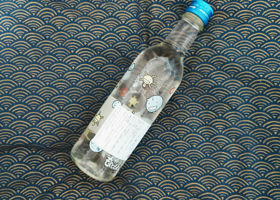 alt 2