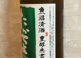 alt 2