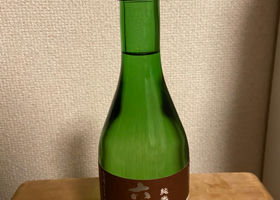 alt 1