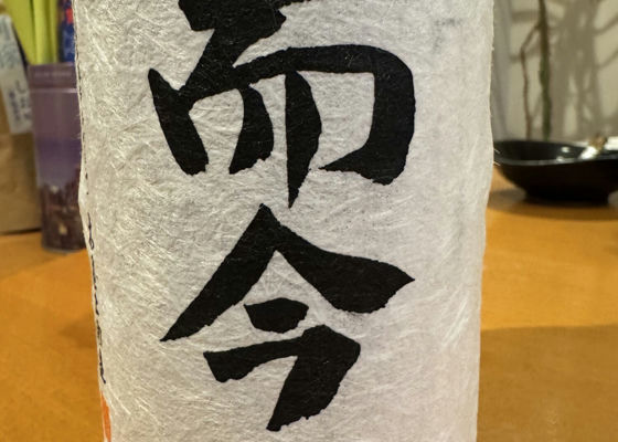 alt 1