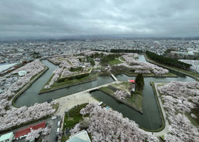 五橋 チェックイン 4