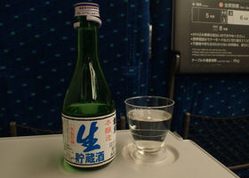 alt 1
