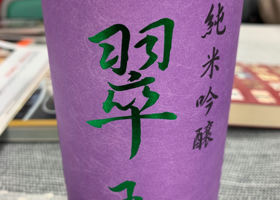 alt 1
