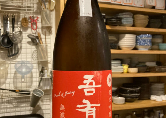 alt 1