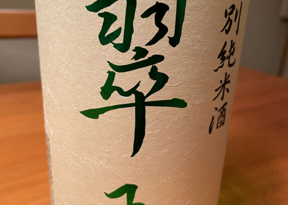 alt 1