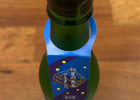 alt 3