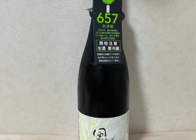 alt 1