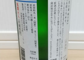 alt 3