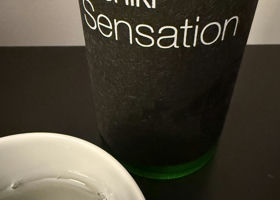 alt 1