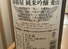 alt 2