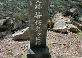 alt 1