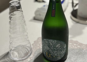 alt 1