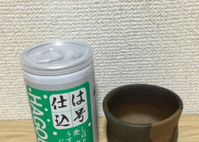 alt 3