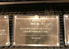 alt 2