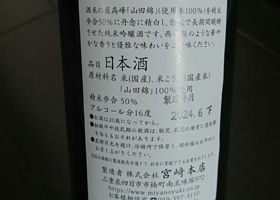 alt 1