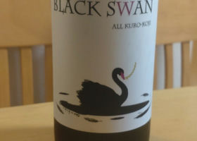 BLACK SWAN チェックイン 1