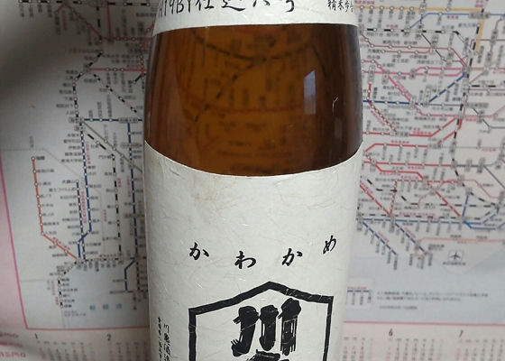 alt 1