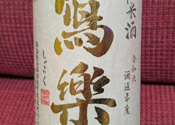 alt 1