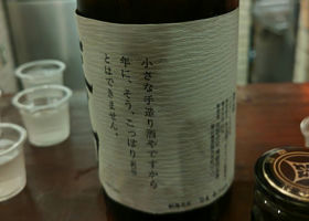 alt 3