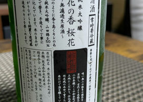 alt 3