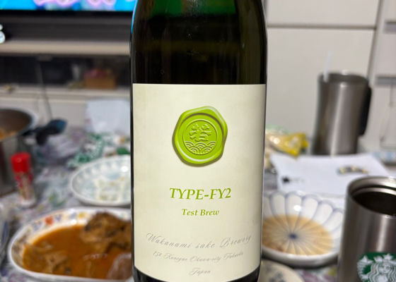 Type-FY2 チェックイン 1
