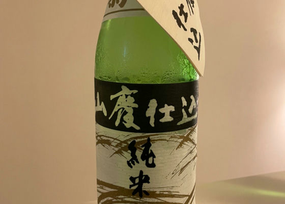 alt 1