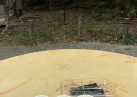 alt 4