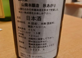 alt 3