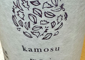 kamosu mori Check-in 1