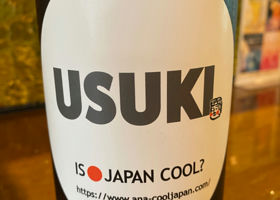 USUKI チェックイン 1